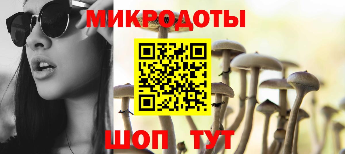 Галлюциногенные грибы GOLDEN TEACHER  Псилоцибиновые грибы Psilocybe  Каменка  Вход с VPN 